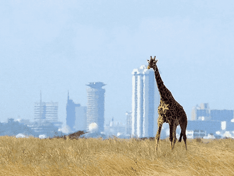 Nairobi